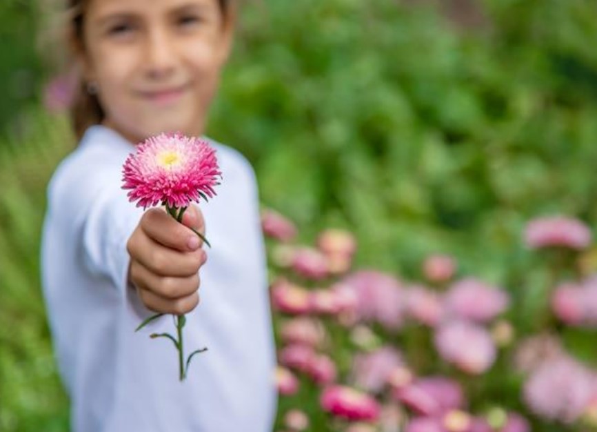 Gratidão é a maior de todas as virtudes