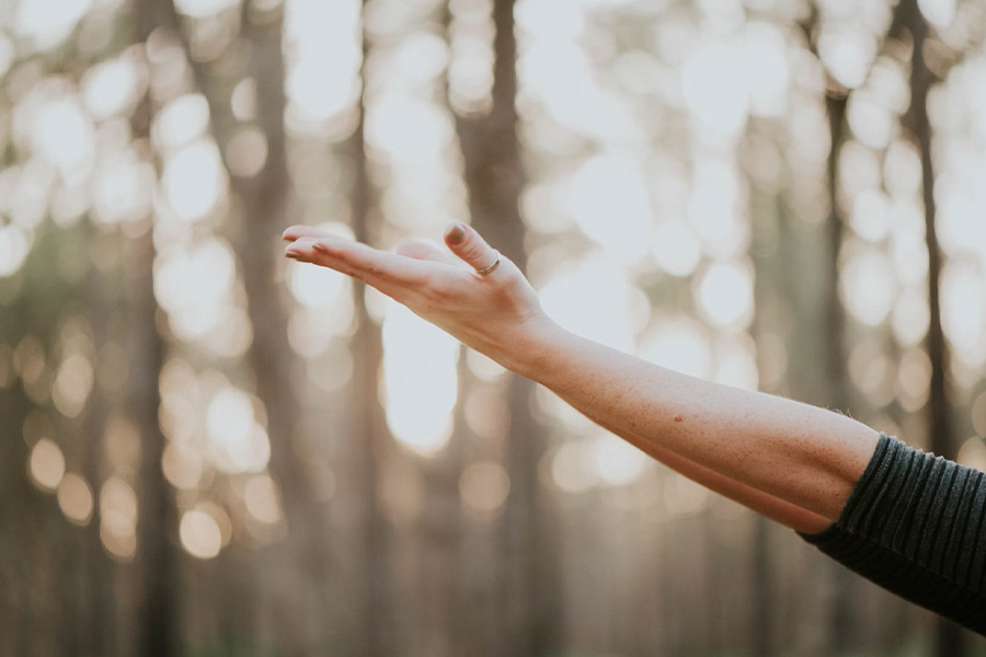 Saúde: harmonia entre corpo, mente e espírito!